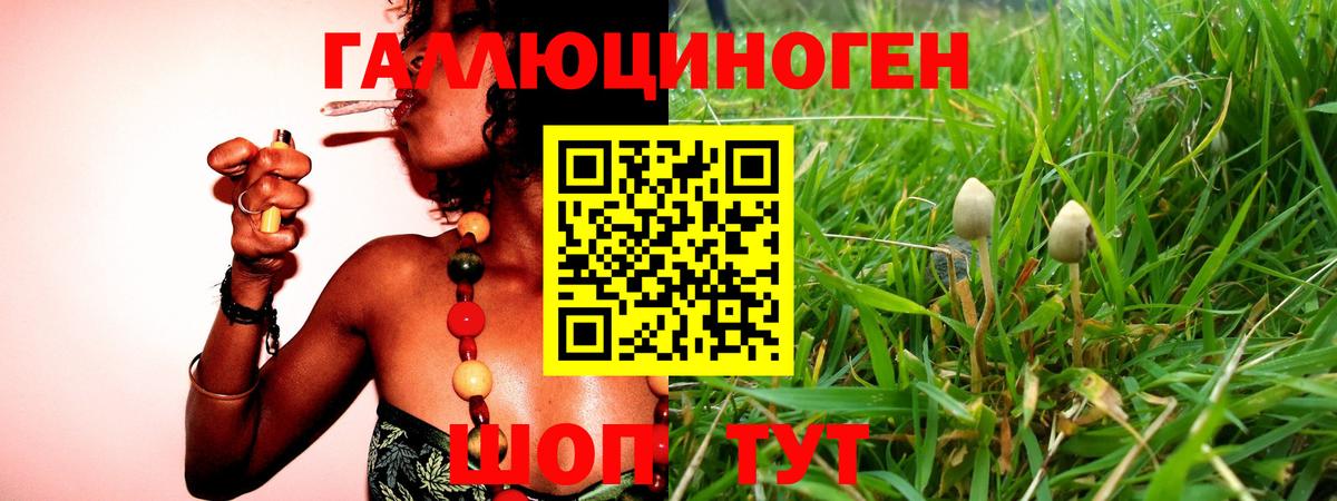 Сарапул  Галлюциногенные грибы GOLDEN TEACHER  Вход с VPN 